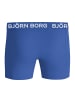 Björn Borg Boxershort 7er Pack in Blau/Grün