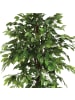 Atmosphera Créateur d'intérieur Künstlicher Ficus in grün