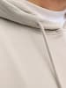 JACK & JONES PLUS Kapuzenpullover in Moonbeam