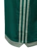 Adidas originals Tanktop Mockeyelet in tanne