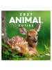 NOTIQUE Wandkalender 2027 6-sprachig in Animal Cuties - 30 x 30 cm