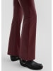 QS Hose  in  3900_bordeaux