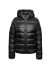 Champion Winterjacke Hooded Polyfilled in schwarz