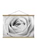 WALLART Stoffbild mit Posterleisten - Close Up Rose in Schwarz-Weiß