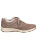 Caprice Sneaker in STONE SUEDE