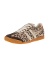 Gola Sneaker low Elan  in Braun