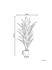 Beliani Kunstpflanze DRACAENA TREE in Grün - (W) 85 x (H) 150 x (L) 85 cm