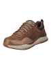 Skechers Sneaker BENAGO in Braun