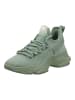 Steve Madden Sneaker in Sage