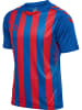 Hummel T-Shirt Hmlcore Herren in TRUE BLUE/TRUE RED