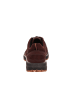 Ecco Lowtop-Sneaker Terracruise II in fig/fig