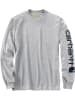 CARHARTT  Bekleidung Long Sleeve in grau in grau
