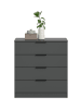 ebuy24 Kommode Kopenhagen Anthrazit 74 x 35 cm