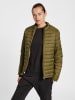 Hummel Hummel Jacket Hmlred Multisport Damen in DARK OLIVE