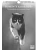 DuMont Kalenderverlag Kalender - DUMONTS - Katzenkalender 2026 - Wochenkalender mit literarischen Zit