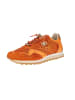Cetti Sneaker low C-848 SRA V25-26 in Orange