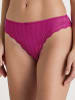 Calida Slip mit Spitzenrändern in Orchid flo