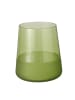 Boltze Trinkglas Moluna in grün