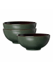 Ritzenhoff & Breker 3er Set Poke Bowl Schalen Merida ø 17,5 cm in Grün