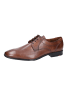 LLOYD Business Schnürschuh in braun