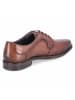Josef Seibel Schnürhalbschuh in braun