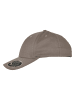  Flexfit  Flexfit Accessoires Flexfit 110 Curved Visor Snapback in grey