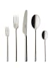 Villeroy & Boch 30-tlg. Tafelbesteck Ella in Silber – in silber