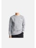 North Face Sweatshirt NF0A8F9WCQO1 Grau