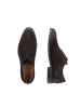 JOOP! Lace Up 'Velluto Misto Kleitos in Dunkelbraun'