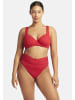 Sea Level Essentials Bikini Oberteil in RED