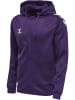 Hummel Hummel Kapuzenpullover Hmlcore Multisport Unisex Erwachsene Atmungsaktiv Feuchtigkeitsabsorbierenden in ACAI/WHITE