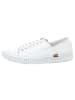 Andrea Conti SHOES Schnürschuhe in weiß
