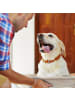 relaxdays Hunde-Futterstation in Grau - (B)40,5 x (H)10 x (T)21 cm