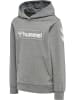 Hummel Kinder Hoodie in Grau