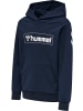 Hummel Kinder Sweatshirt in Blau