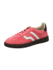 Gant Sneaker Low in Pink