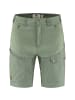 FJÄLLRÄVEN Shorts Abisko Midsummer in Hellgrün