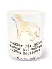 Mr. & Mrs. Panda Glas Windlicht Golden Retriever Moment mit Spruch in Transparent