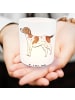 Mr. & Mrs. Panda Glas Windlicht Pointer Moment ohne Spruch in Transparent