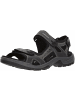 Ecco Sportliche Sandalen für Herren in blau