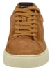 GANT Footwear Sneaker in Walnut