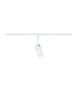 paulmann URail Schienenspot Tubo Einzelspot  320lm 4W 2700 - 4000K  230V Signalweiß