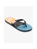Quicksilver Flip-Flops Molokai in Mehrfarbig
