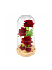 Wisam® Ewige Rose Glaskuppel LED Rot Deko 21,5 cm