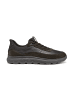 Geox Sneakers Low U Spherica Plus A in braun