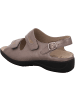 Solidus Sandalen für Damen in taupe