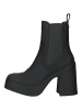 Steve Madden Stiefelette in Schwarz