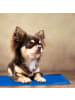 relaxdays Kühlmatte "Hund" in Blau - 40 x 30 cm