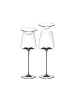 ZIEHER 2er Set Weingläser + Deckel Vision Fresh 340 ml in transparent