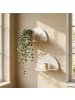 relaxdays 2 x Wandregal in Weiß/ Natur - (B)26 x (H)13 x (T)13 cm
